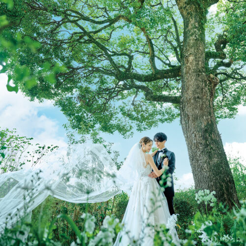 フォトギャラリー