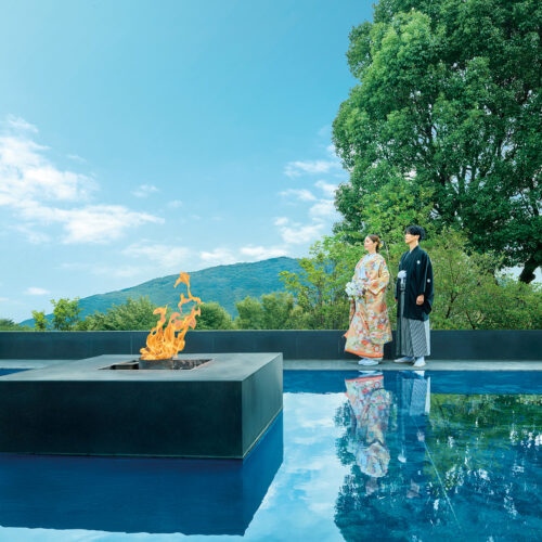 フォトギャラリー