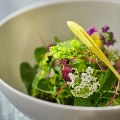 フォトギャラリー